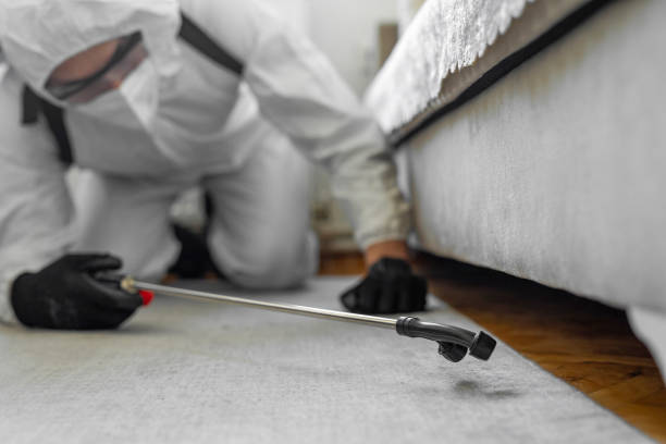 Professional Cockroach Control technician working in Nevada, MO