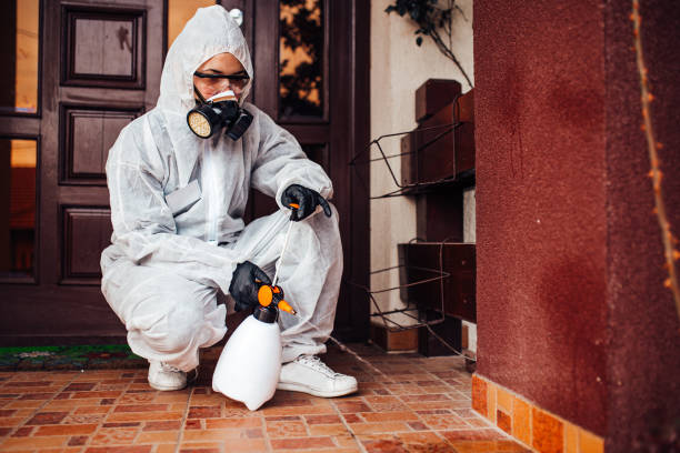 Reliable Cockroach Control contractor in Nevada, MO by Nex Pest Control